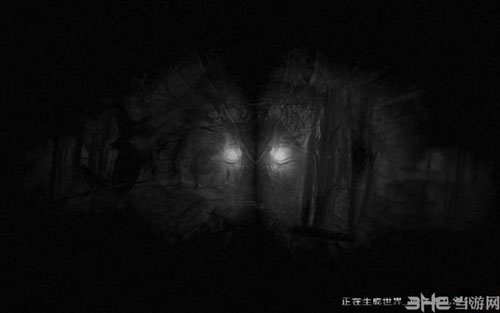阴暗森林地图