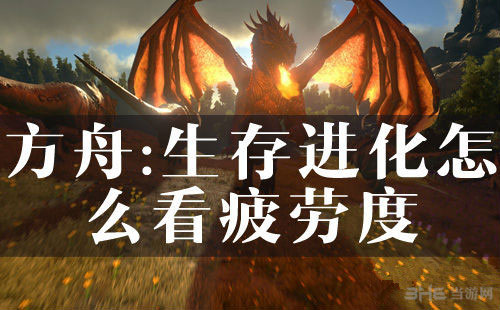 方舟生存进化疲劳度哪里看 