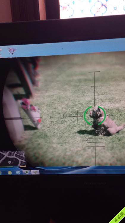 侠盗猎车手5GTA5暖心小细节 ——一只给主人献花的小狗5