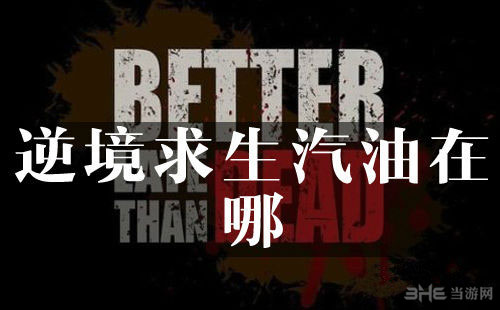逆境求生汽油