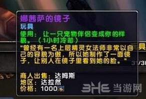 魔兽世界娜茜萨的镜子截图1