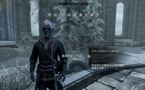 上古卷轴5游戏截图1
