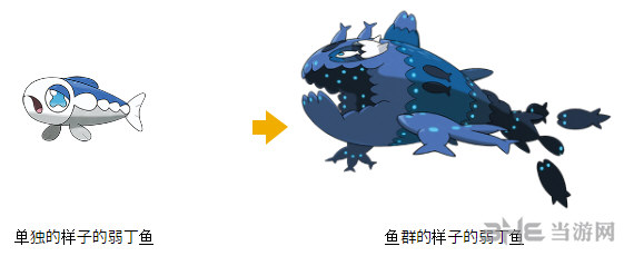 精灵宝可梦太阳月亮弱丁鱼图片3