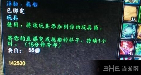 魔兽世界逐日岛商人截图1