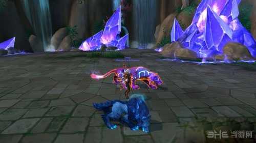 WOW7.0灵魂兽豹子外观图片4