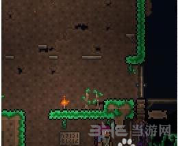 泰拉瑞亚截图3