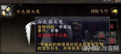 魔兽世界截图1