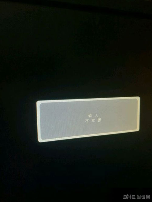 生化危机7输入不支持错误截图1