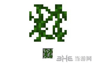 我的世界截图1