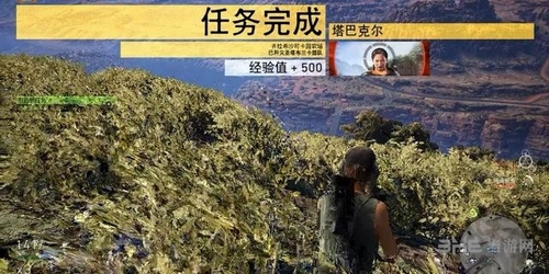 幽灵行动荒野截图8