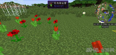 我的世界玫瑰红截图1