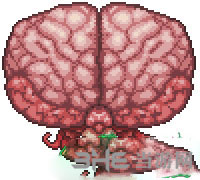 泰拉瑞亚克苏鲁之脑截图1