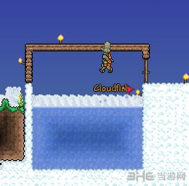 泰拉瑞亚黄金钓竿获取技巧图片6