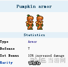 泰拉瑞亚南瓜套装11