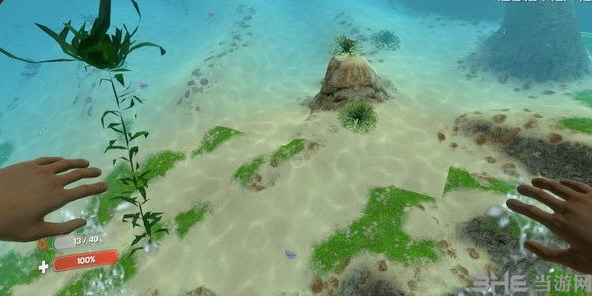 深海迷航生物蛋