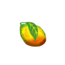 芒果
