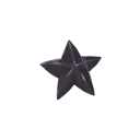 黑星