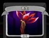 寄生