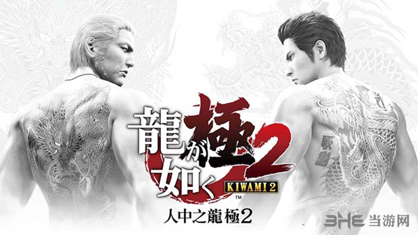 如龙极2封面