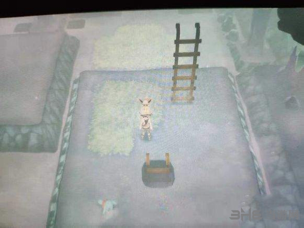 精灵宝可梦letsgo图片3
