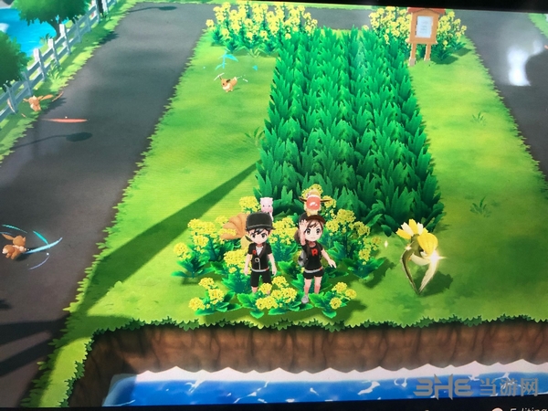精灵宝可梦letsgo截图1