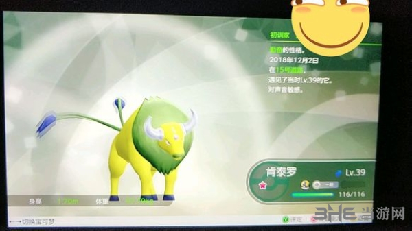 精灵宝可梦letsgo截图