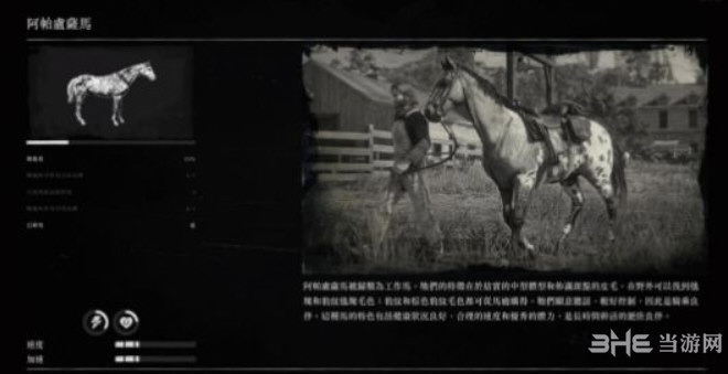 荒野大镖客2阿帕卢萨马图片