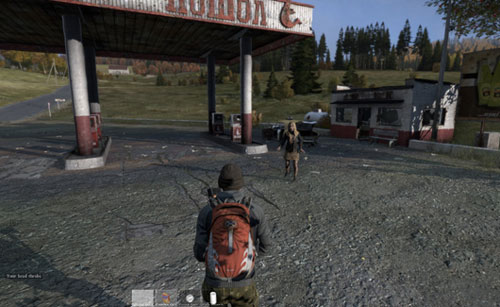 DayZ游戏截图