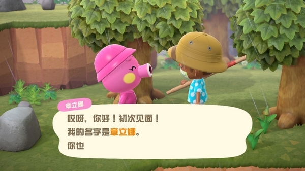 集合啦动物森友会游戏图片