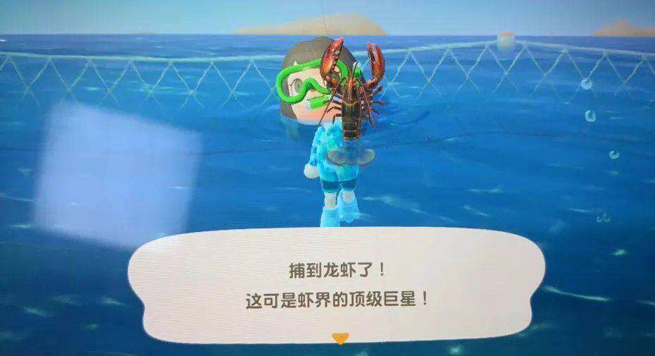 动物森友会游戏截图