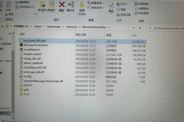 怪物猎人崛起游戏截图2