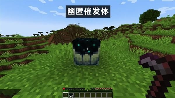 我的世界游戏截图5