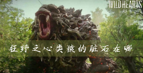 狂野之心头图