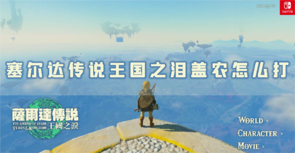 塞尔达传说:王国之泪1