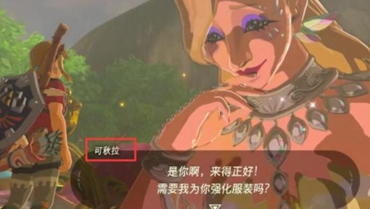 塞尔达传说:王国之泪5