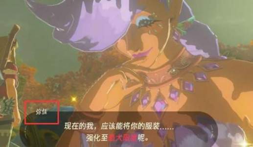 塞尔达传说:王国之泪7