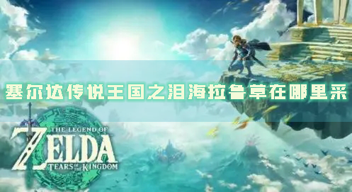 塞尔达传说:王国之泪1