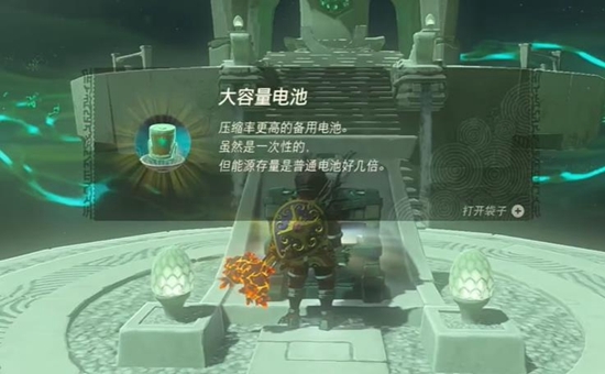 塞尔达传说:王国之泪11