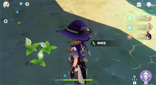 原神手游嘟嘟莲位置一览 原神手游嘟嘟莲位置一览