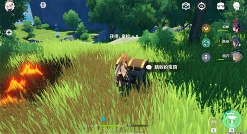 原神手游奇怪排列的小灯草解谜教学 原神手游奇怪排列的小灯草解谜教学