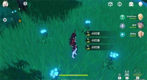 原神手游小灯草在哪里 原神手游小灯草在哪里