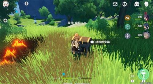 原神手游小灯草在哪里 原神手游小灯草在哪里