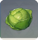 原神卷心菜什么用 卷心菜怎么获取 原神卷心菜什么用 卷心菜怎么获取