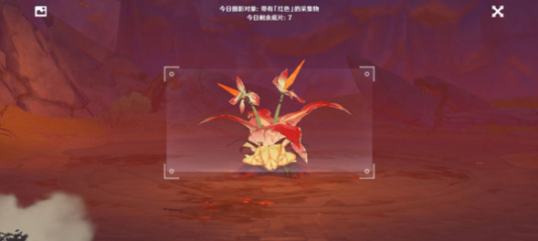 原神福至五彩活动拍照拍不了是怎么回事 原神福至五彩活动拍照拍不了是怎么回事