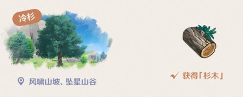 原神杉木在哪里 原神杉木在哪里