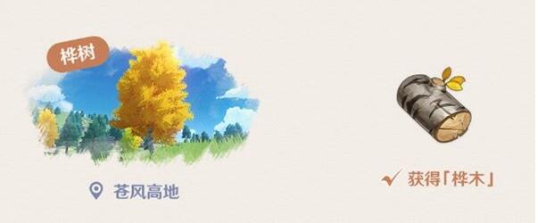 原神桦木刷新位置一览 原神桦木刷新位置一览