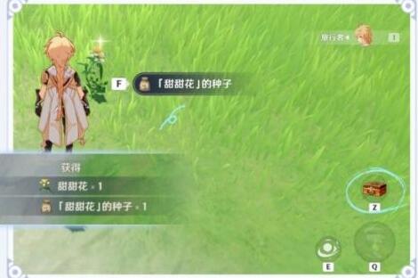原神家园种植种子怎么获得