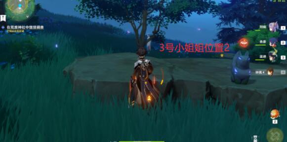 原神祭神奏上谜样的人影地点大全