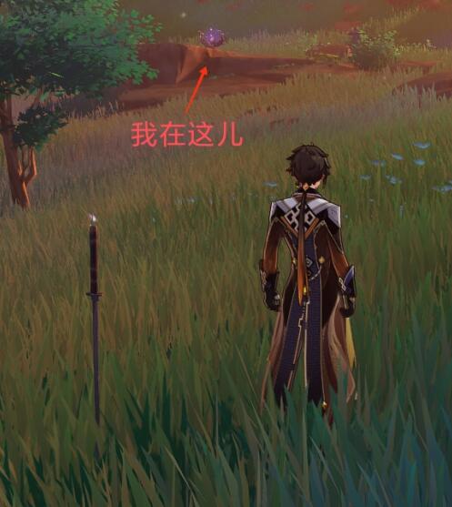 原神腐肉朽处花争妍八酝岛带电剑及雷种子位置 原神腐肉朽处花争妍八酝岛带电剑及雷种子位置