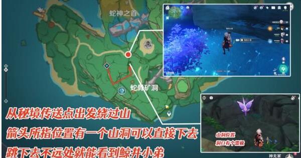原神鲸井小弟奖励获取方式和地点攻略 原神鲸井小弟奖励获取方式和地点攻略